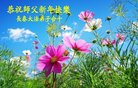 ֹ,󷨵ӹףʦ(20)