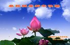 ֹ,մ󷨵ӹףʦ(20)