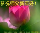 法轮功,石家庄大法弟子恭祝师尊新年好(23条)