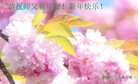 ֹ,մ󷨵ӹףʦ(23)