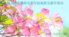 ֹ,մ󷨵ӹףʦ(23)