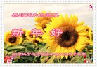 ֹ,մ󷨵ӹףʦ(21)