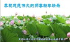 ֹ,󷨵ӹףʦ(19)