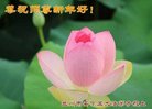 ֹ,󷨵ӹףʦ(19)