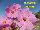 ֹ,󷨵ӹףʦ(20)