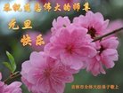 ֹ,д󷨵ӹףʦ(20)