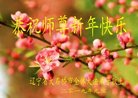 ֹ,󷨵ӹףʦ(19)