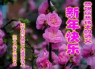 ֹ,󷨵ӹףʦ(19)