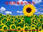 ֹ,Ϋ󷨵ӹףʦ(24)