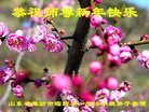 ֹ,Ϋ󷨵ӹףʦ(24)