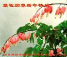ֹ,Ϋ󷨵ӹףʦ(20)