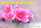 法轮功,潍坊大法弟子恭祝师尊新年好(20条)