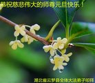 ֹ,󷨵ӹףʦ(20)