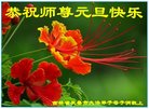 ֹ,󷨵ӹףʦ(19)
