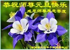 ֹ,ʡ󷨵ӹףʦ(20)