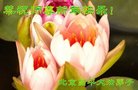 ֹ,󷨵ӹףʦ(22)