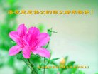 ֹ,ʯׯ󷨵ӹףʦ(23)