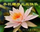 ֹ,Ϋ󷨵ӹףʦ(24)
