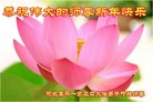 ֹ,ӱ󷨵ӹףʦ(27)