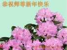 ֹ,ʡ󷨵ӹףʦ(25)