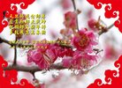 ֹ,ʡ󷨵ӹףʦ(20)