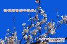 ֹ,Ĵ󷨵ӹףʦ(23)