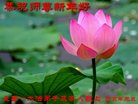ֹ,󷨵ӹףʦ(19)
