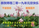 ֹ,ʡ󷨵ӹףʦ(22)