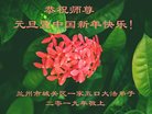ֹ,󷨵ӹףʦ(24)