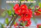 ֹ,󷨵ӹףʦ(24)