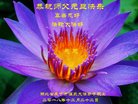 ֹ,󷨵ӹףʦ(20)