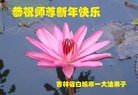 ֹ,ʡ󷨵ӹףʦ(20)