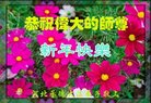 ֹ,ӱ󷨵ӹףʦ(18)