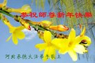 ֹ,ӱ󷨵ӹףʦ(18)