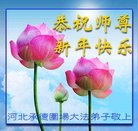 ֹ,ӱ󷨵ӹףʦ(18)