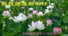 ֹ,󷨵ӹףʦ(23)