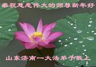 ֹ,ϴ󷨵ӹףʦ(24)