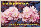 ֹ,󷨵ӹףʦ(22)