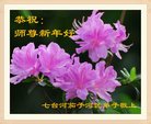 ֹ,󷨵ӹףʦ(22)