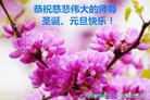 ֹ,󷨵ӹףʦ(20)
