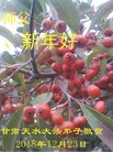 ֹ,󷨵ӹףʦ(24)