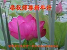ֹ,ʡ󷨵ӹףʦ(22)