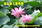 ֹ,󷨵ӹףʦ(19)
