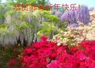 ֹ,󷨵ӹףʦ(25)
