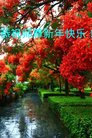 ֹ,󷨵ӹףʦ(25)
