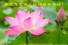 ֹ,󷨵ӹףʦ(24)