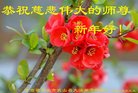 ֹ,󷨵ӹףʦ(24)