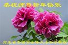 ֹ,󷨵ӹףʦ(22)