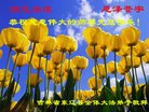ֹ,ʡ󷨵ӹףʦ(20)