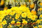 ֹ,ɶ󷨵ӹףʦ(18)
